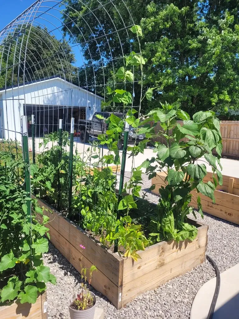 2368 Highway 70 E Cookeville TN 38506