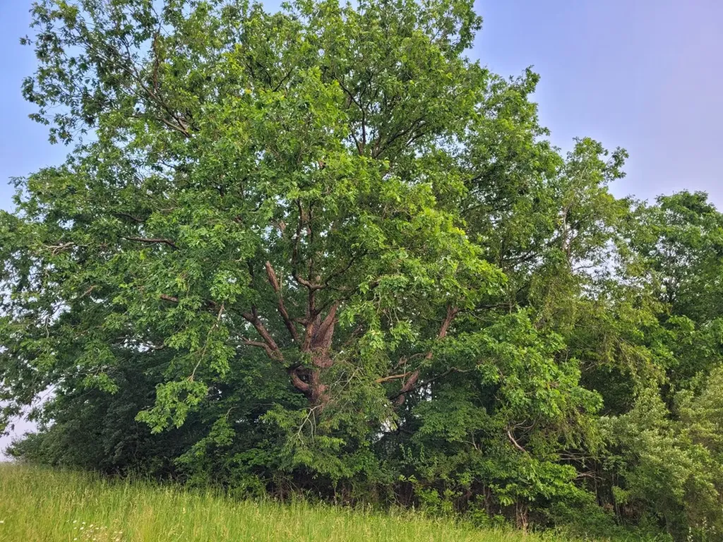 Lot 10 Bunkhouse Road Spencer TN 38585
