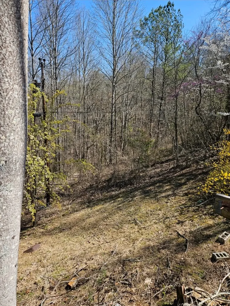182 Mayberry Drive Smithville TN 37166
