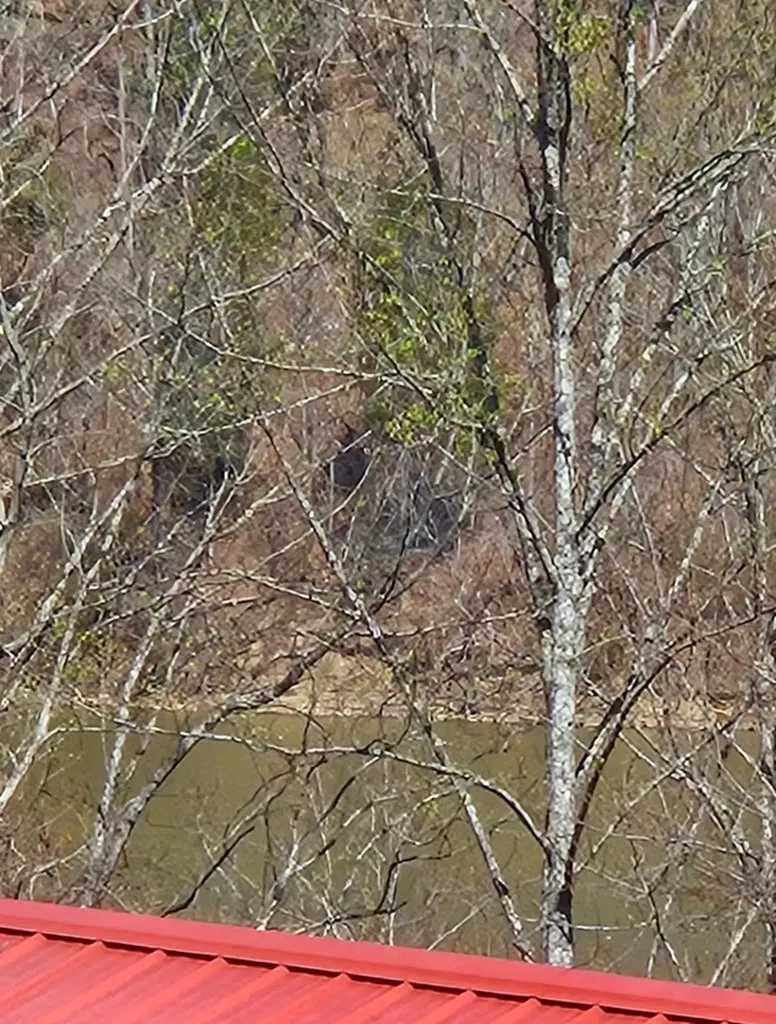 182 Mayberry Drive Smithville TN 37166