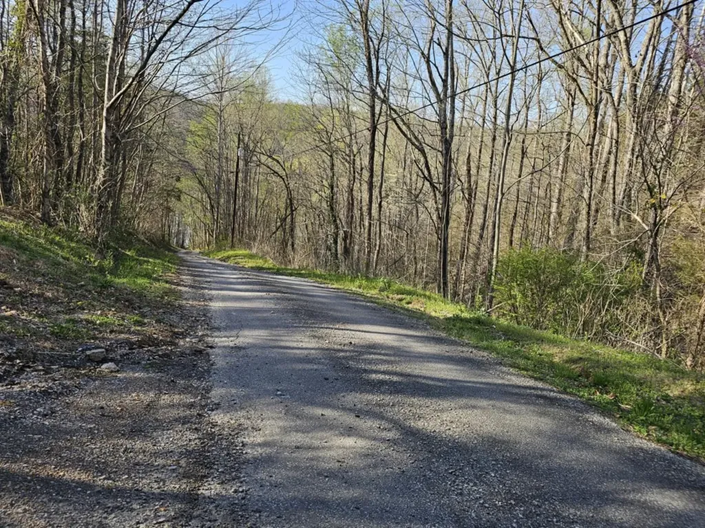 182 Mayberry Drive Smithville TN 37166