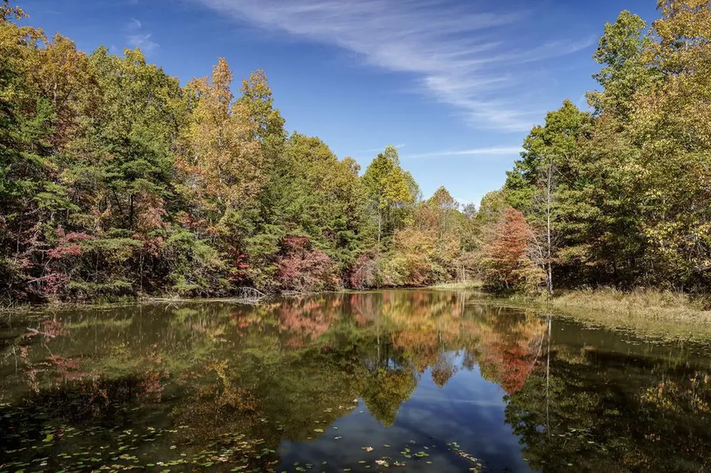 8.13 Ac Harris Road Monterey TN 38574