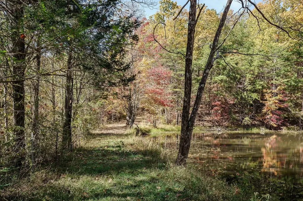 8.13 Ac Harris Road Monterey TN 38574