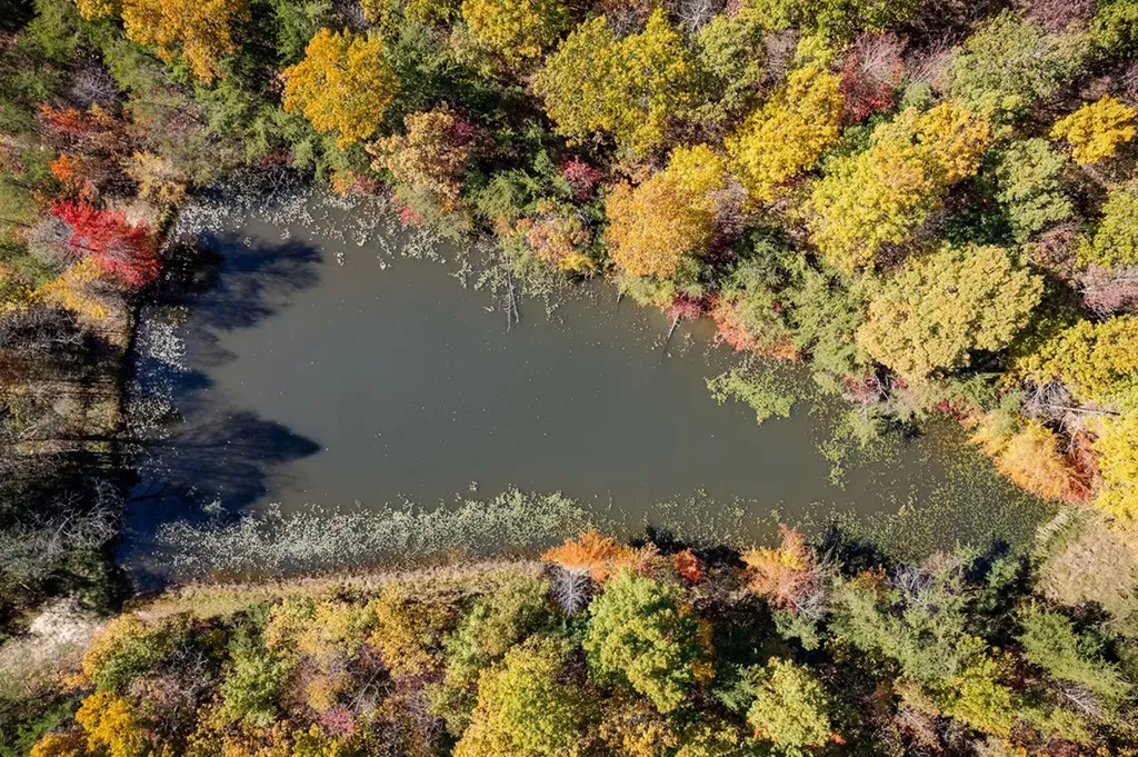 8.13 Ac Harris Road Monterey TN 38574