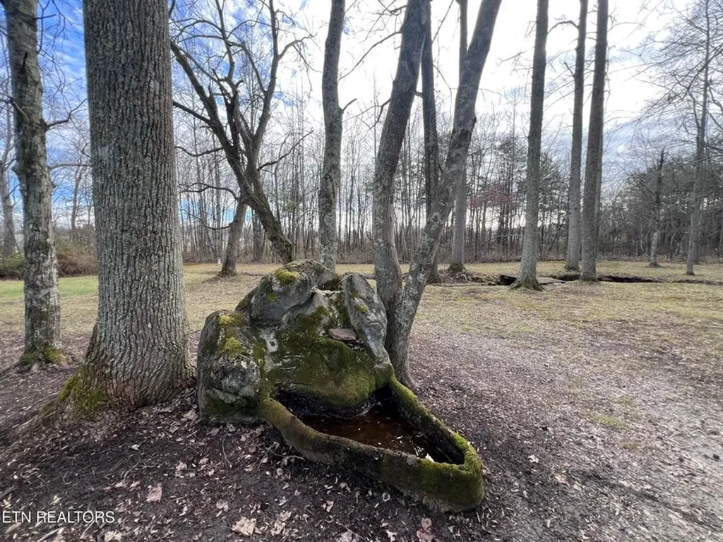 1028 Kennedy Drive Jamestown TN 38556