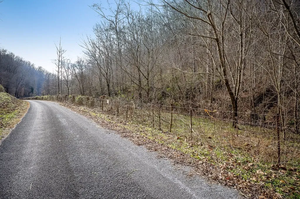 1772 S Fork Road Whitleyville TN 38588