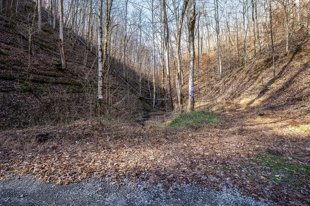 1772 S Fork Road Whitleyville TN 38588