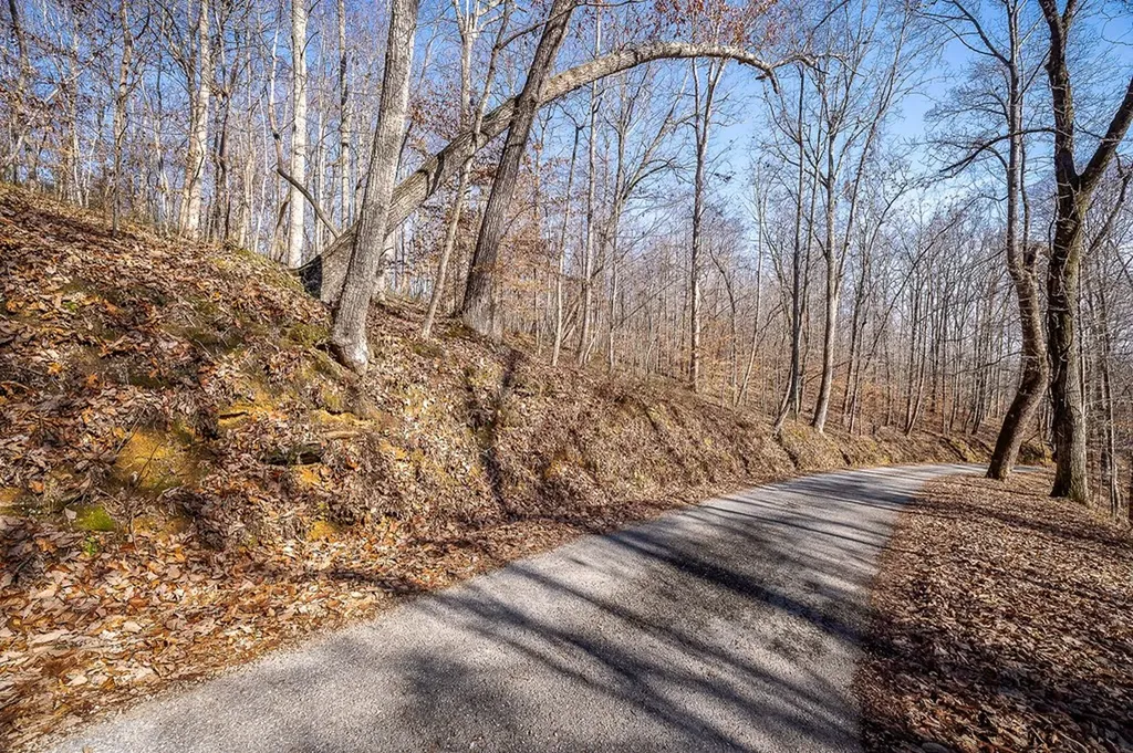 1772 S Fork Road Whitleyville TN 38588