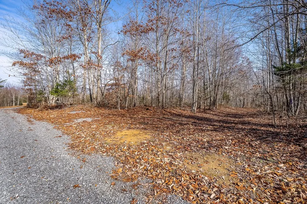 1772 S Fork Road Whitleyville TN 38588