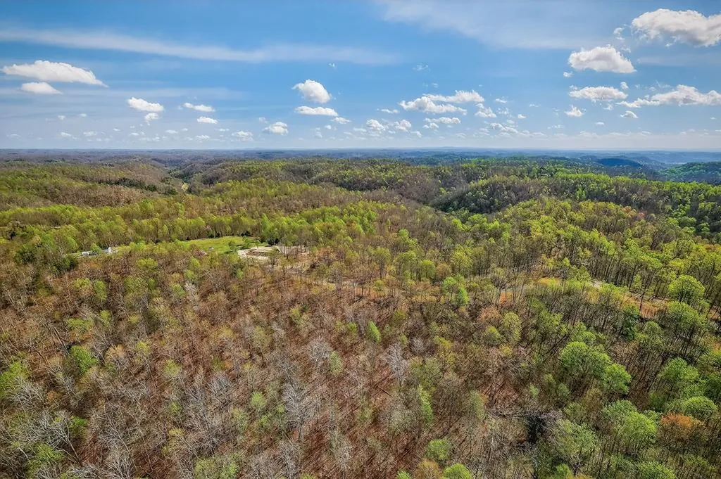 1772 S Fork Road Whitleyville TN 38588