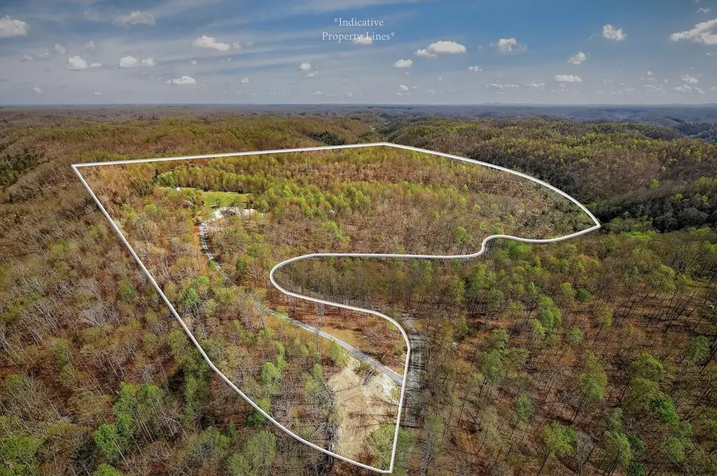 1772 S Fork Road Whitleyville TN 38588