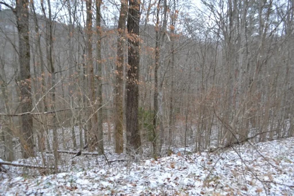 Lot 41 Apache Road Jamestown TN 38556