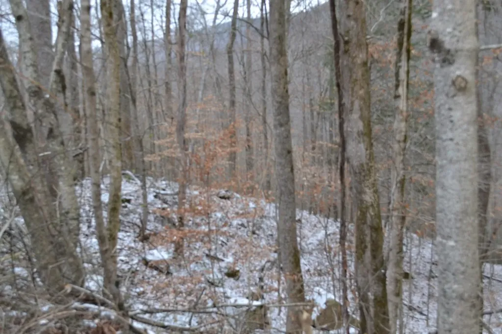 Lot 41 Apache Road Jamestown TN 38556