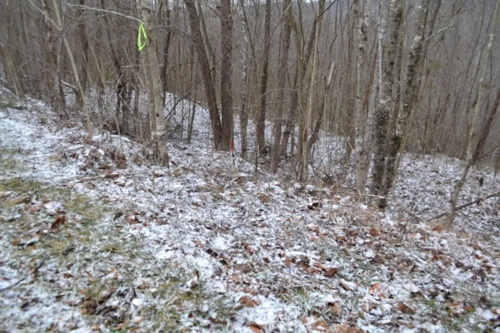 Lot 41 Apache Road Jamestown TN 38556