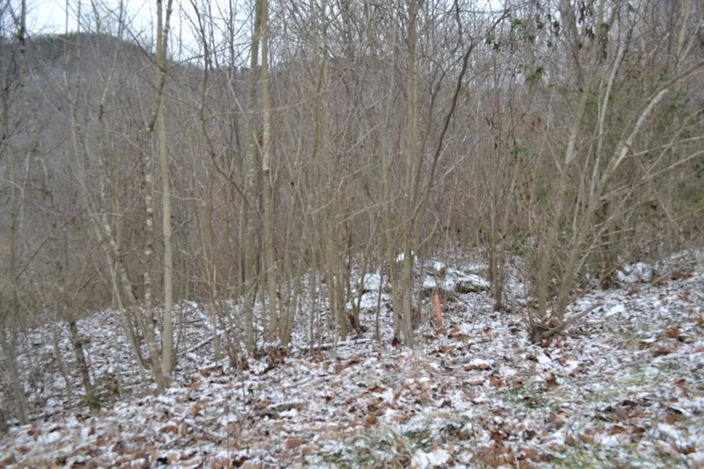 Lot 41 Apache Road Jamestown TN 38556