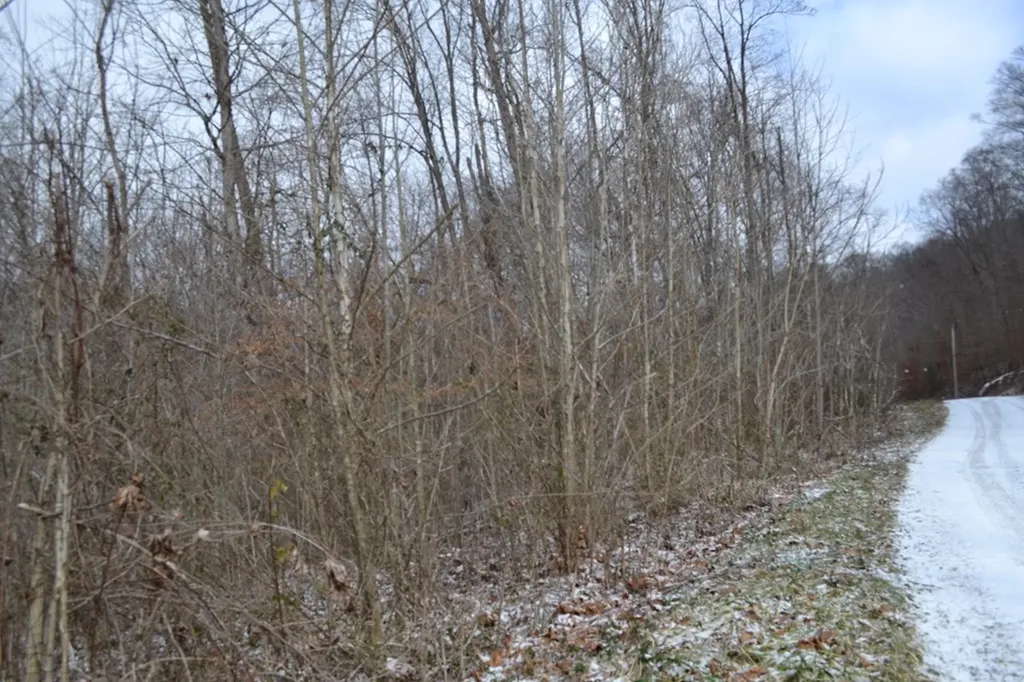 Lot 41 Apache Road Jamestown TN 38556