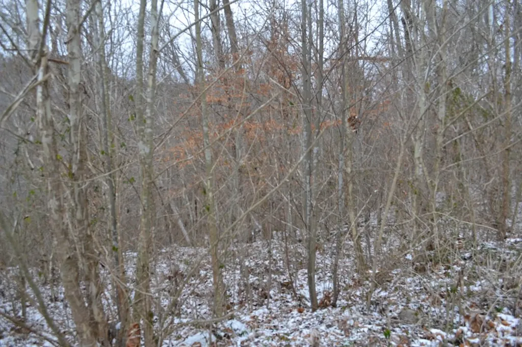 Lot 41 Apache Road Jamestown TN 38556