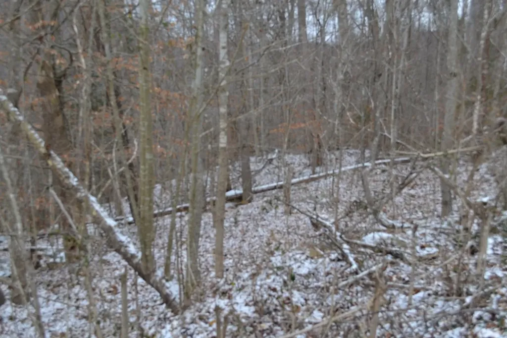 Lot 41 Apache Road Jamestown TN 38556