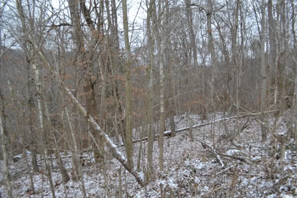Lot 41 Apache Road Jamestown TN 38556