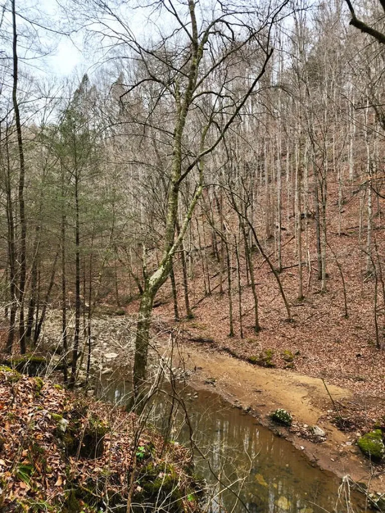 Lot 41 Apache Road Jamestown TN 38556
