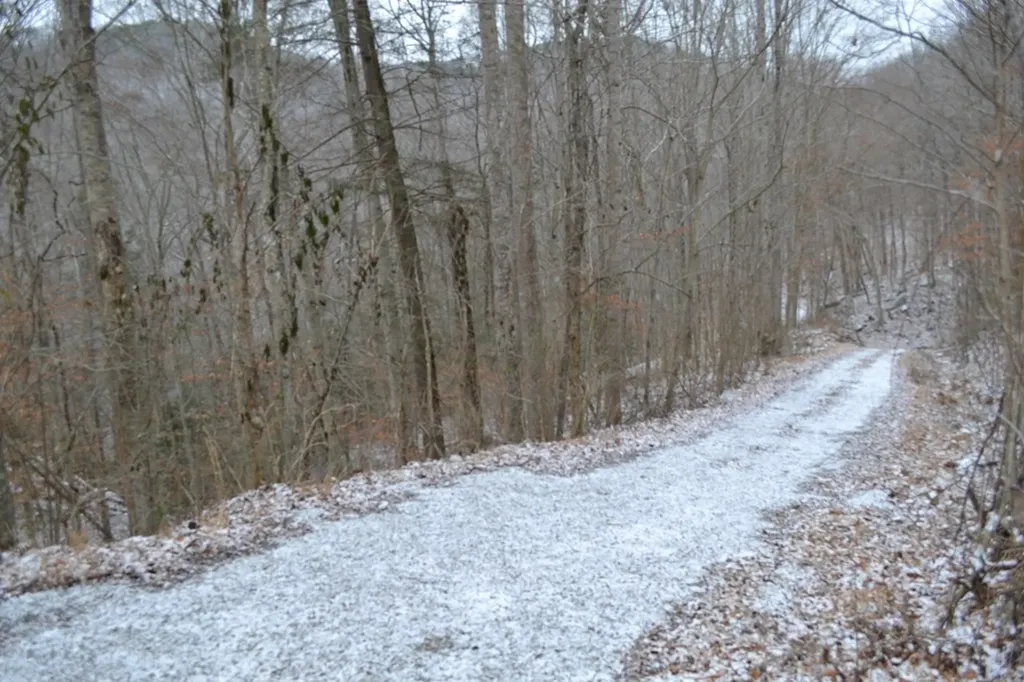 Lot 41 Apache Road Jamestown TN 38556