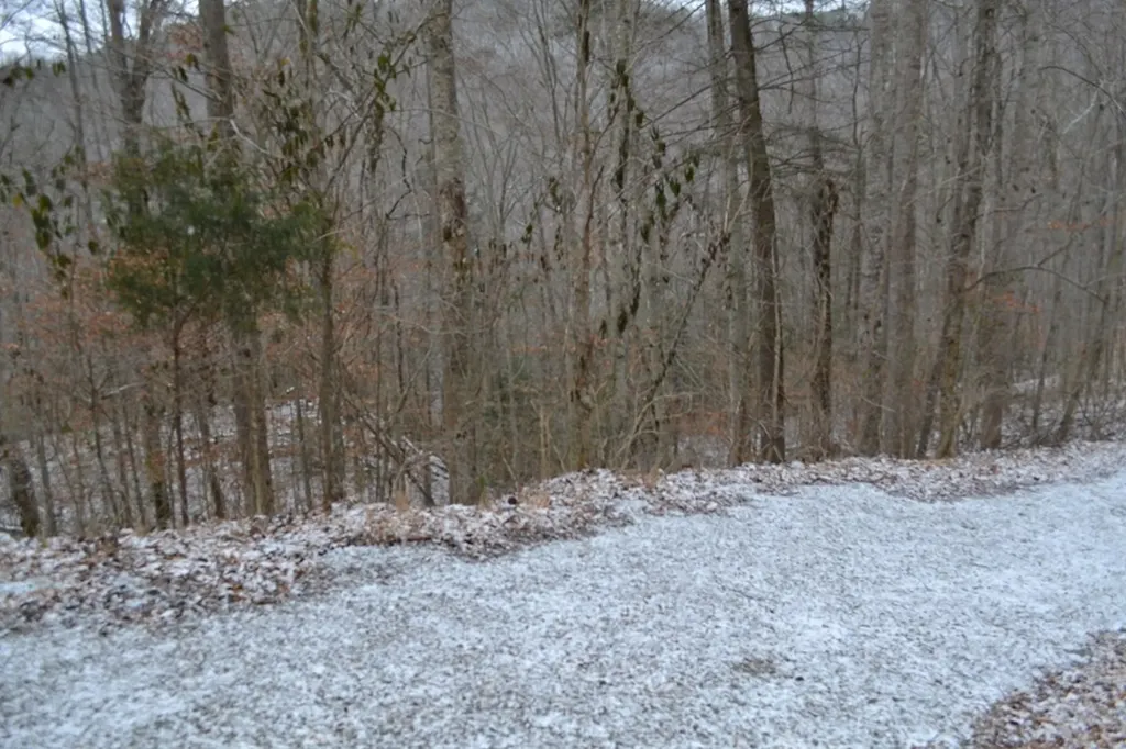 Lot 41 Apache Road Jamestown TN 38556