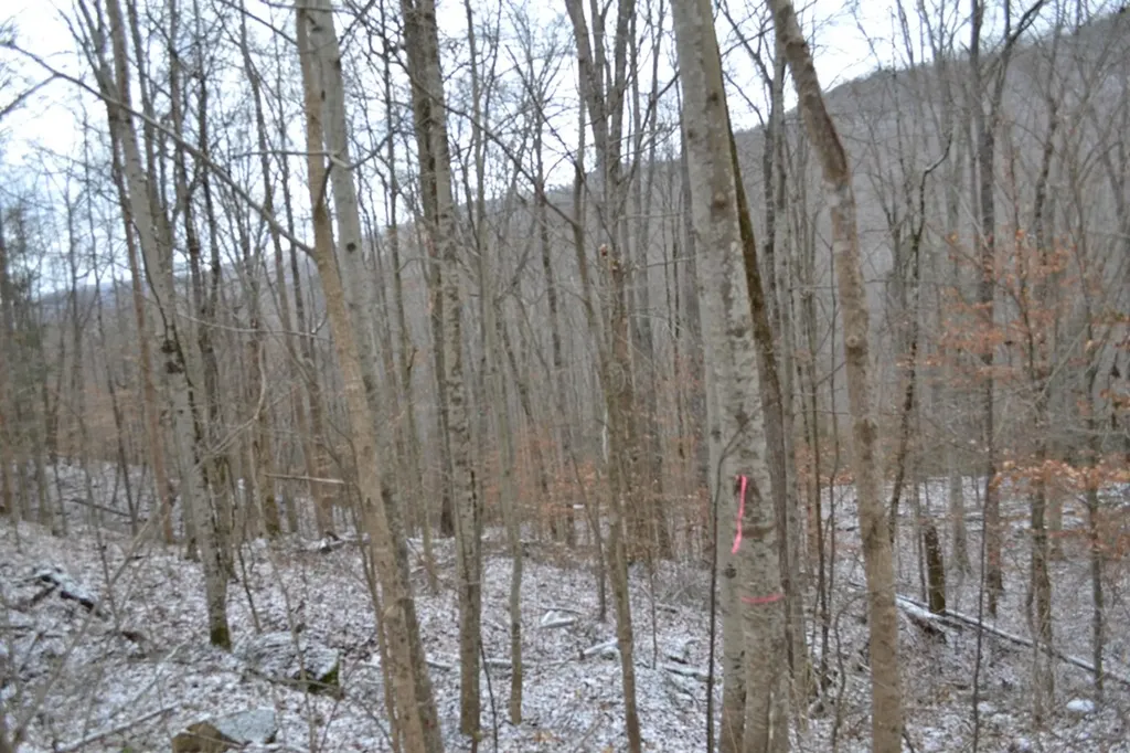 Lot 41 Apache Road Jamestown TN 38556