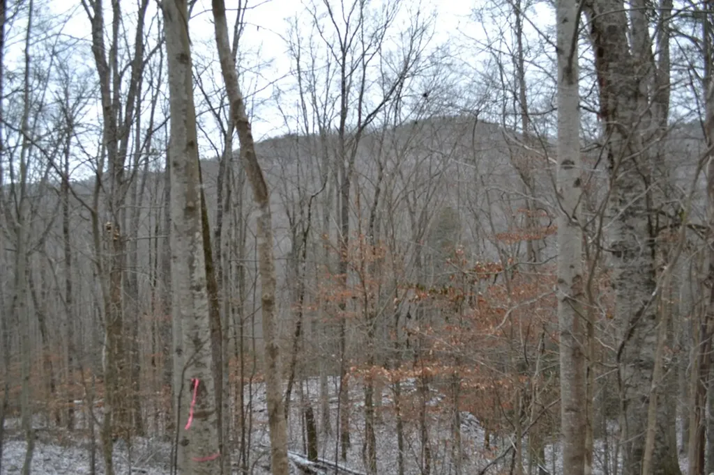 Lot 41 Apache Road Jamestown TN 38556