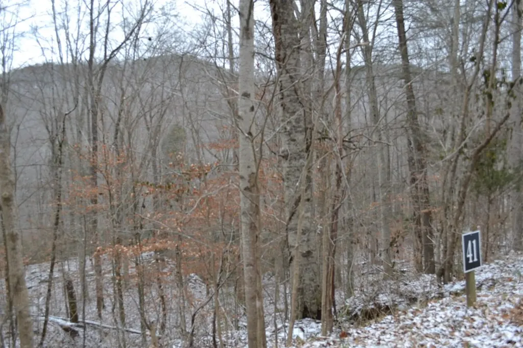 Lot 41 Apache Road Jamestown TN 38556