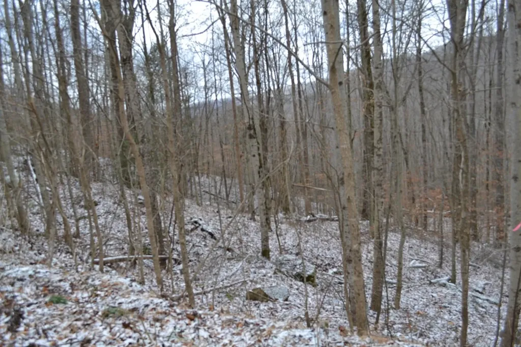 Lot 41 Apache Road Jamestown TN 38556