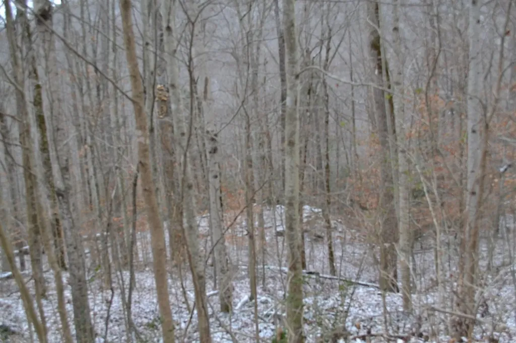 Lot 41 Apache Road Jamestown TN 38556