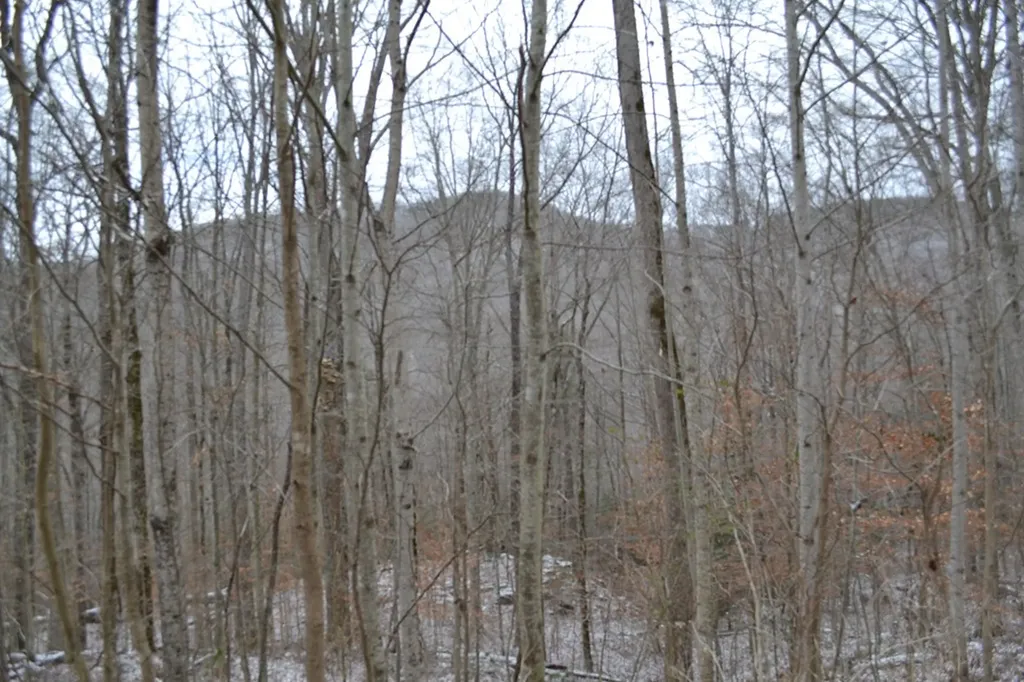 Lot 41 Apache Road Jamestown TN 38556