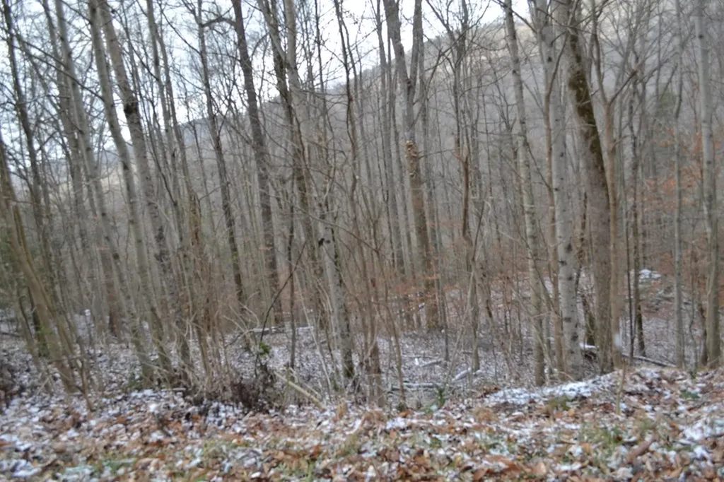 Lot 41 Apache Road Jamestown TN 38556