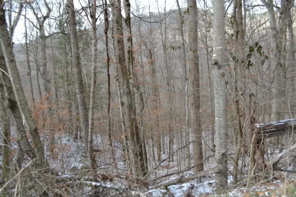 Lot 41 Apache Road Jamestown TN 38556