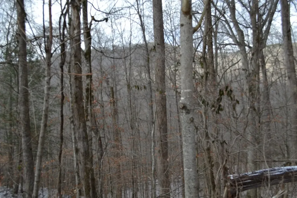 Lot 41 Apache Road Jamestown TN 38556