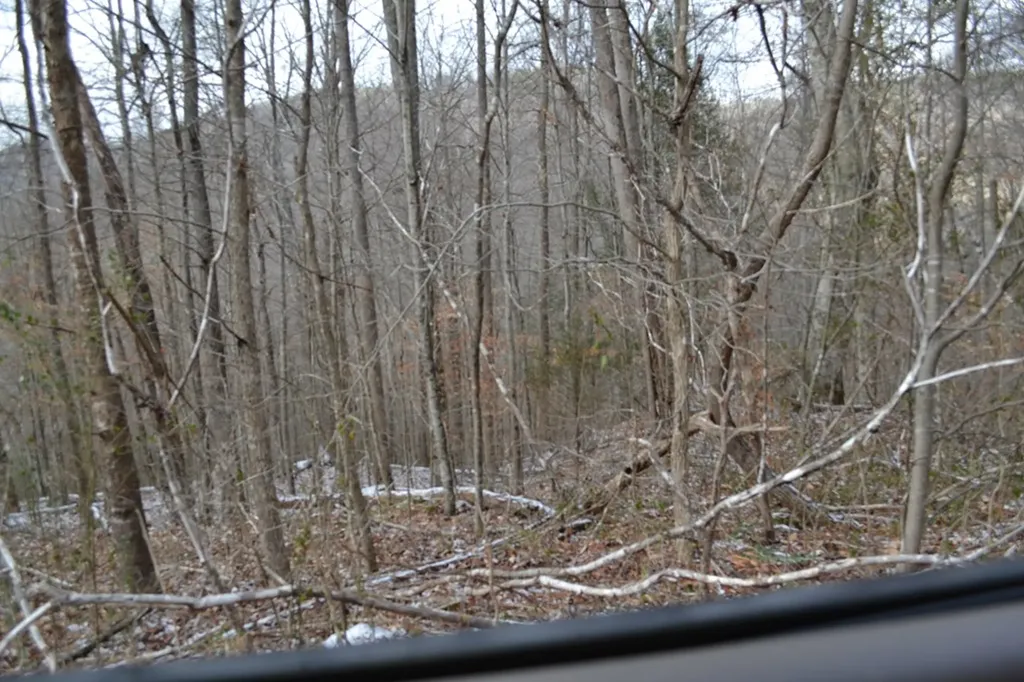 Lot 41 Apache Road Jamestown TN 38556
