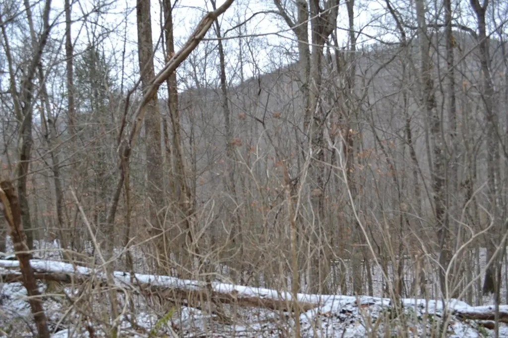 Lot 41 Apache Road Jamestown TN 38556