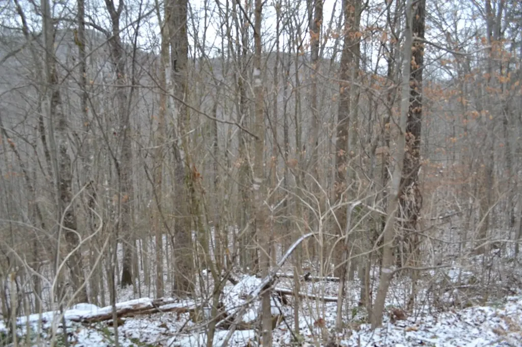 Lot 41 Apache Road Jamestown TN 38556