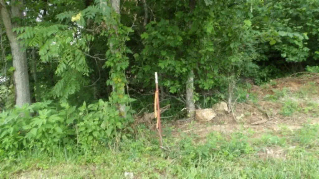 51.30AC Livingston Highway Byrdstown TN 38549