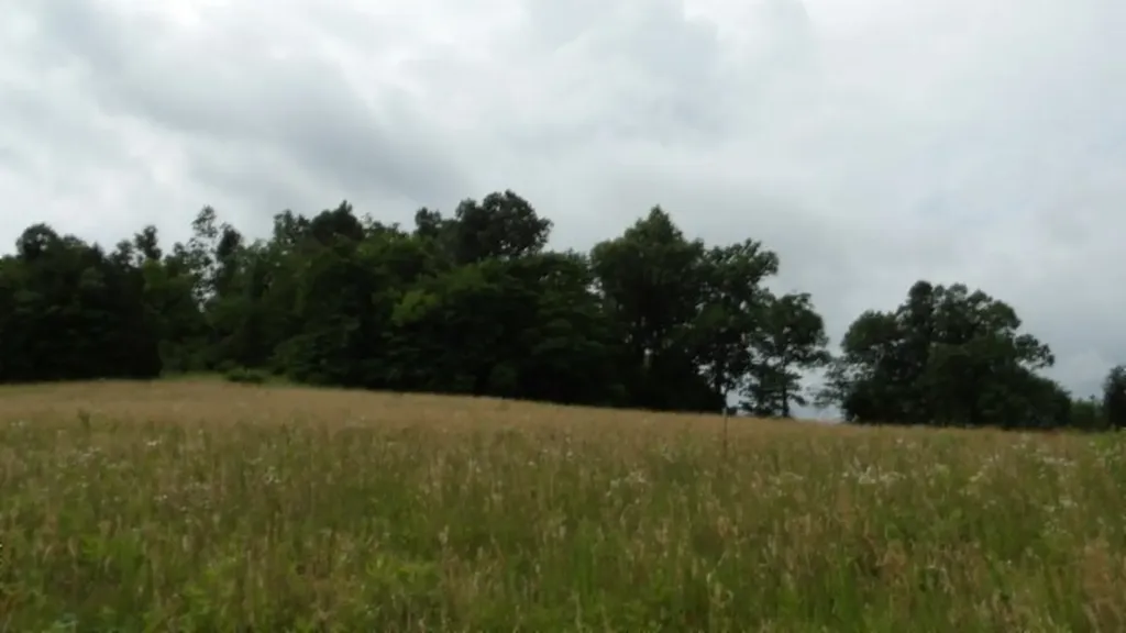 51.30AC Livingston Highway Byrdstown TN 38549
