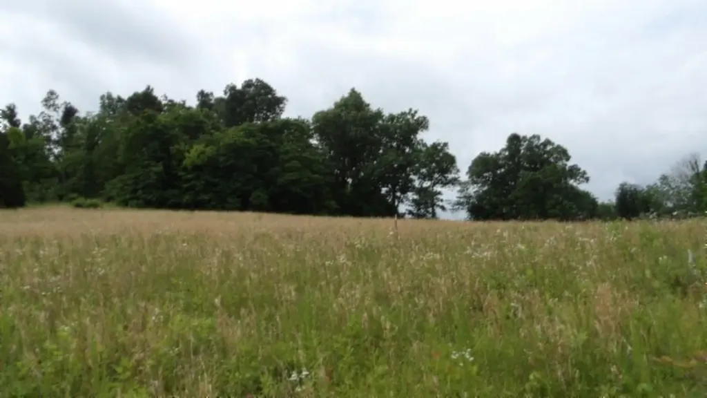 51.30AC Livingston Highway Byrdstown TN 38549