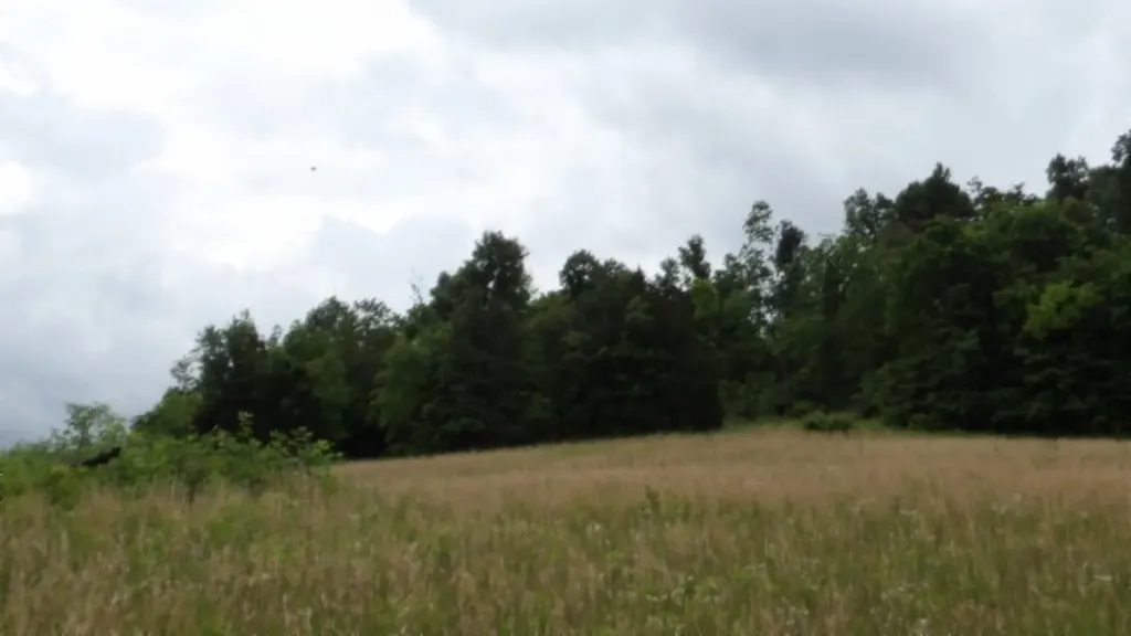 51.30AC Livingston Highway Byrdstown TN 38549