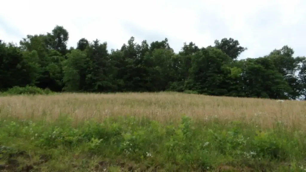 51.30AC Livingston Highway Byrdstown TN 38549