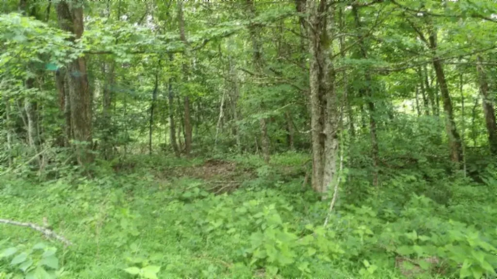 51.30AC Livingston Highway Byrdstown TN 38549