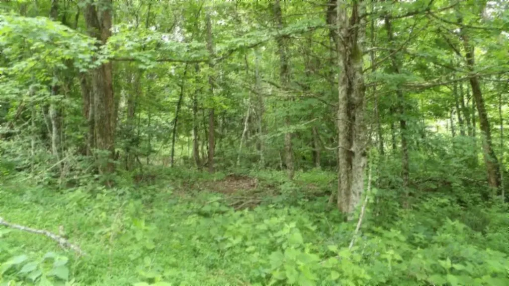 51.30AC Livingston Highway Byrdstown TN 38549