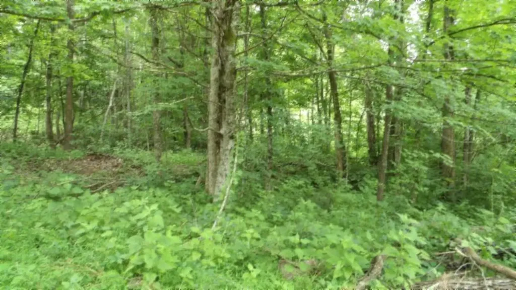 51.30AC Livingston Highway Byrdstown TN 38549