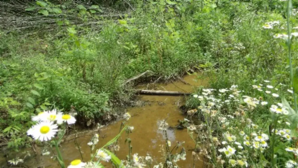 51.30AC Livingston Highway Byrdstown TN 38549