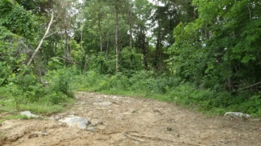51.30AC Livingston Highway Byrdstown TN 38549