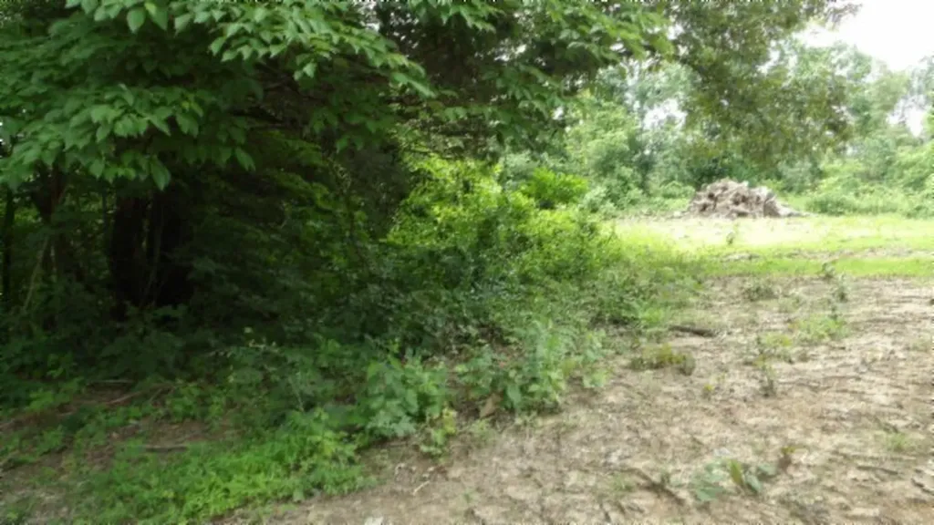 51.30AC Livingston Highway Byrdstown TN 38549
