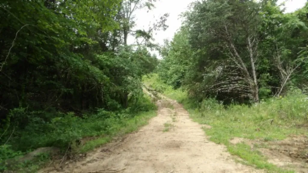 51.30AC Livingston Highway Byrdstown TN 38549